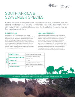 South Africa`s scavenger species
