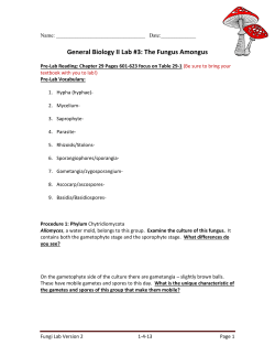 Lab #3: The Fungus Amongus