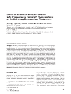 Effects of a saxitoxin-producer strain of