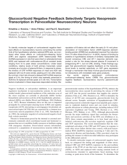 Glucocorticoid Negative Feedback Selectively Targets Vasopressin