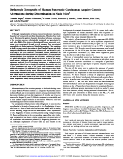 Orthotopic Xenografts of Human Pancreatic