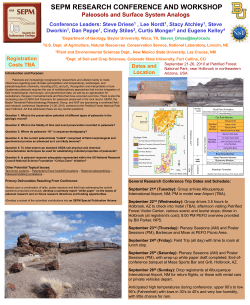 Paleosols and Surface System Analogs
