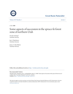 Some aspects of succession in the spruce