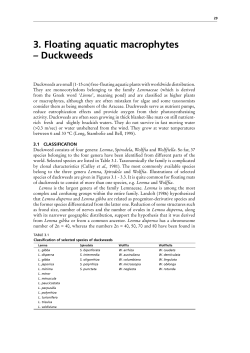 3. Floating aquatic macrophytes – duckweeds