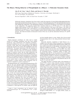 The Binary Mixing Behavior of Phospholipids in a Bilayer: A