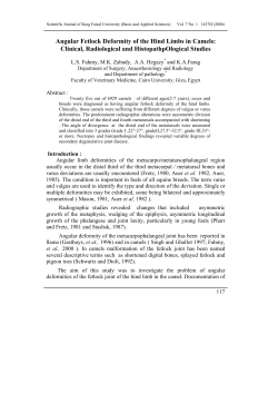 Angular Fetlock Deformity of the Hind Limbs in Camels: Clinical