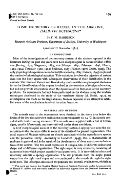 some excretory processes in the abalone, haliotis rufescens