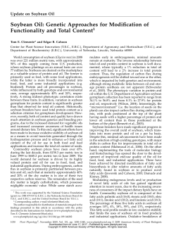 Soybean Oil: Genetic Approaches for Modification