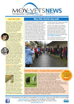 Kennel Cough &ndash; is your dog vaccinated? Just the jab! Moy Vets