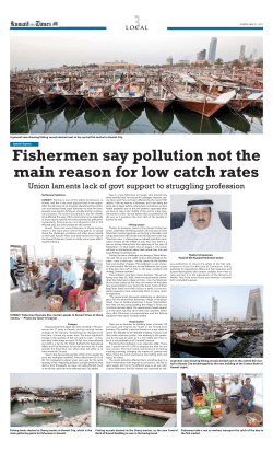 Fishermen say pollution not the main reason for low