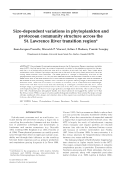 Size-dependent variations in phytoplankton and protozoan