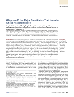 QTug.sau-3B Is a Major Quantitative Trait Locus for Wheat