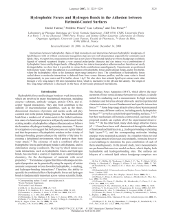 Hydrophobic Forces and Hydrogen Bonds in the