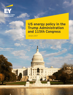US energy policy in the Trump Administration and 115th Congress
