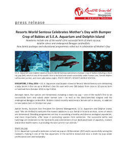 READ MORE - Resorts World Sentosa