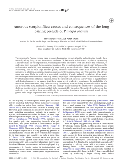 Amorous scorpionflies: causes and consequences of the long