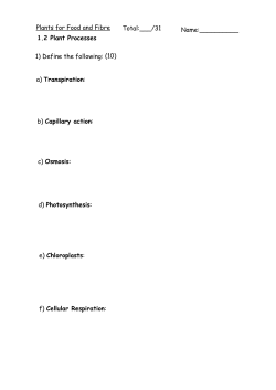1.2 Plant Processes