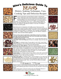Nino`s Delicious Guide to Beans