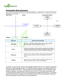 Personality Style Summary