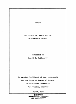 The effects of carbon dioxide on carnation growth