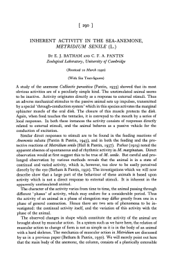 as a PDF