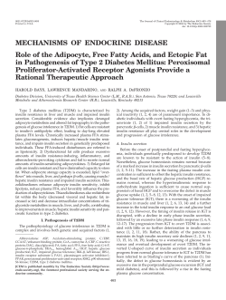 MECHANISMS OF ENDOCRINE DISEASE Role of the Adipocyte