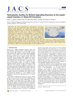Hydrophobic Zeolites for Biofuel Upgrading Reactions at the Liquid