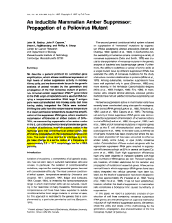 An Inducible Mammalian Amber Suppressor: Propagation of a