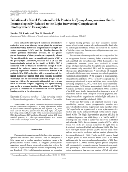 Isolation of a Novel Carotenoid-rich Protein in Cyanophora