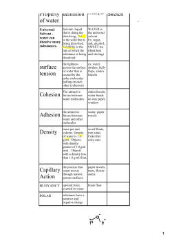 Property of water definition surface tension Cohesion Adhesion