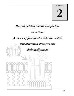 How to catch a membrane protein in action: