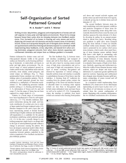 Self-Organization of Sorted Patterned Ground