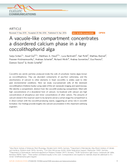 A vacuole-like compartment concentrates a disordered