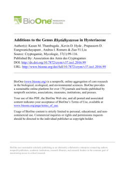 Additions to the Genus Rhytidhysteron in Hysteriaceae