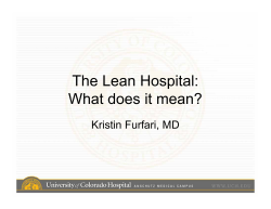 The Lean Hospital: What does it mean?