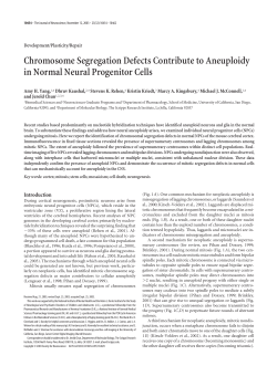 Chromosome Segregation Defects Contribute to Aneuploidy in