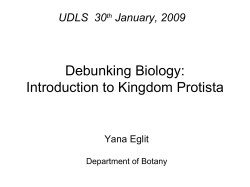 Introduction to Kingdom Protista