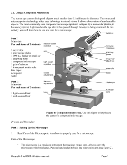 3.a. Using a Compound Microscope The human eye cannot