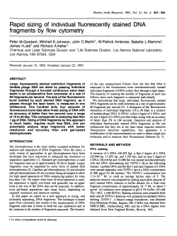 Rapid sizing of individual fluorescently stained DNA fragments by