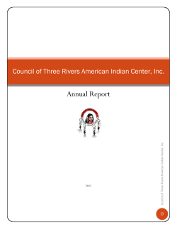 Council of Three Rivers American Indian Center, Inc.