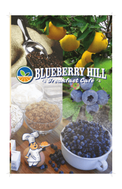 32612 Blueberry Hill 1-16 - Blueberry Hill Breakfast Cafe
