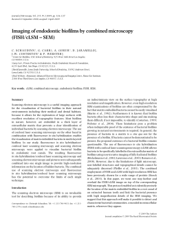 Imaging of endodontic biofilms by combined microscopy