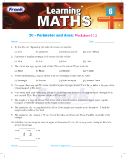 10 - Perimeter and Area: Worksheet-10.2