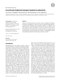 Ins and outs of glucose transport systems in eubacteria