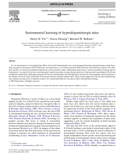 Instrumental learning in hyperdopaminergic mice - Research