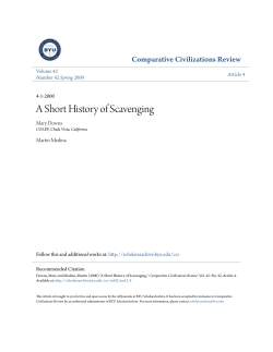 A Short History of Scavenging