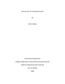 Business Plan For Calf Raising Facility