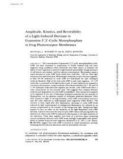 Amplitude, Kinetics, and Reversibility of a Light