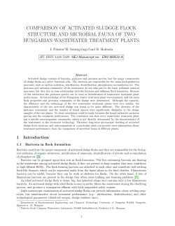 comparison of activated sludgge flock structure and microbial fauna