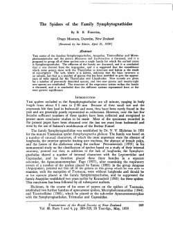 The Spiders of the Family Symphytognathidae - pro